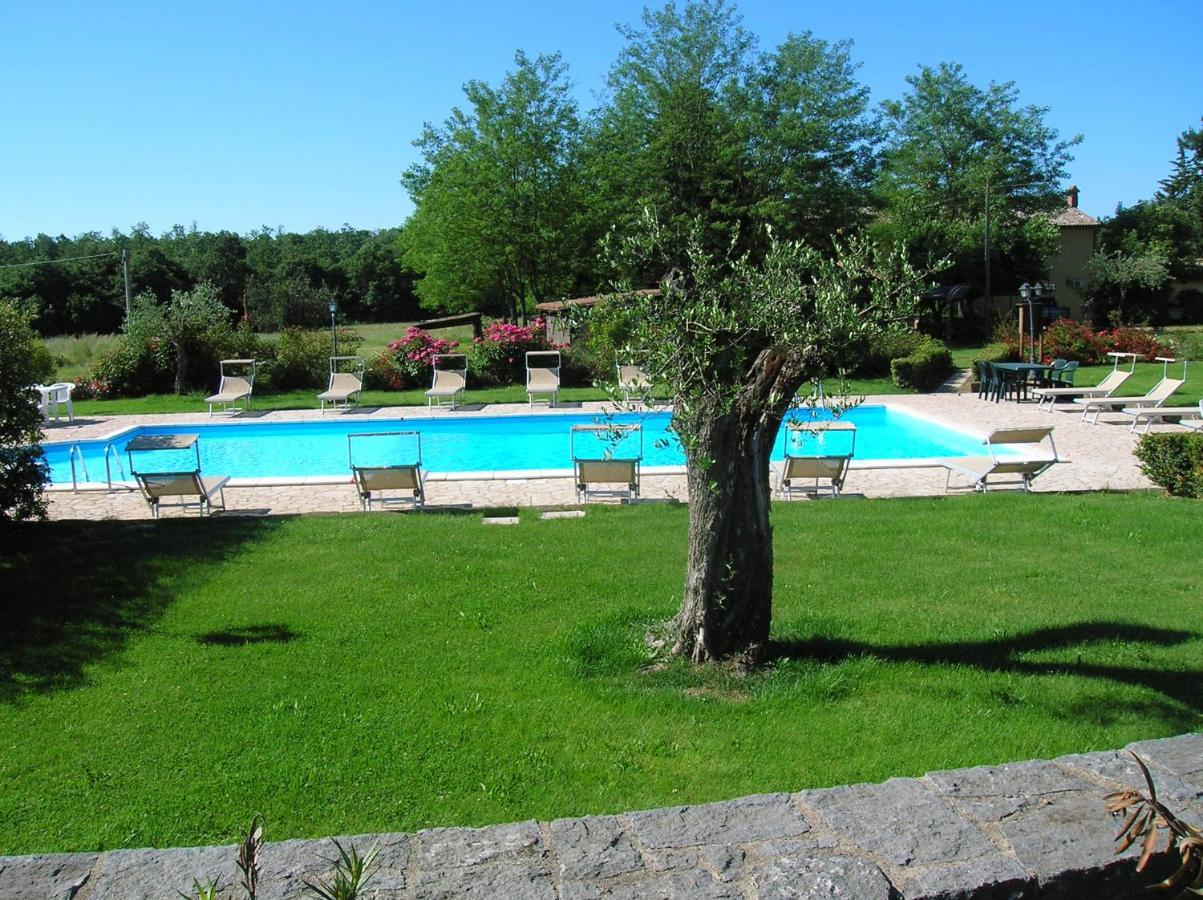 Agriturismo Buonasera Bagnoregio Zewnętrze zdjęcie