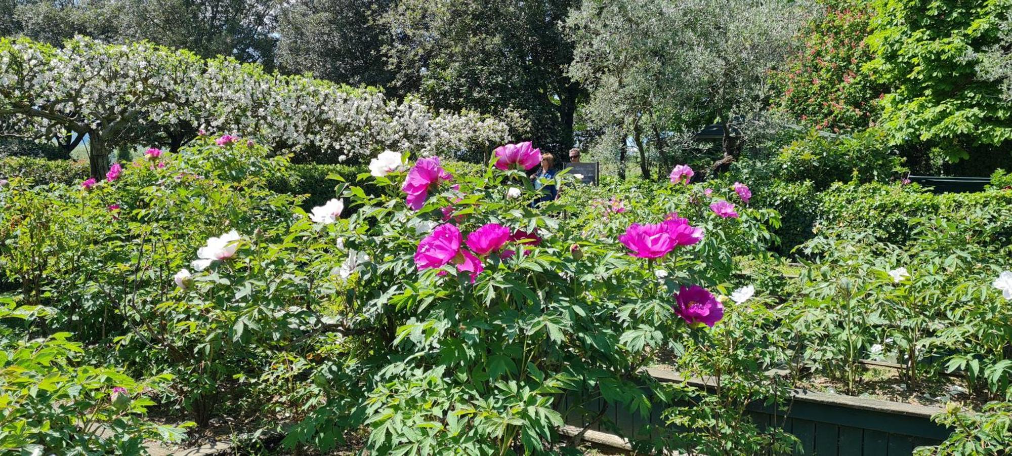 Agriturismo Buonasera Bagnoregio Zewnętrze zdjęcie